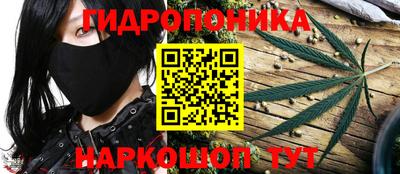 ешки Ставрополь